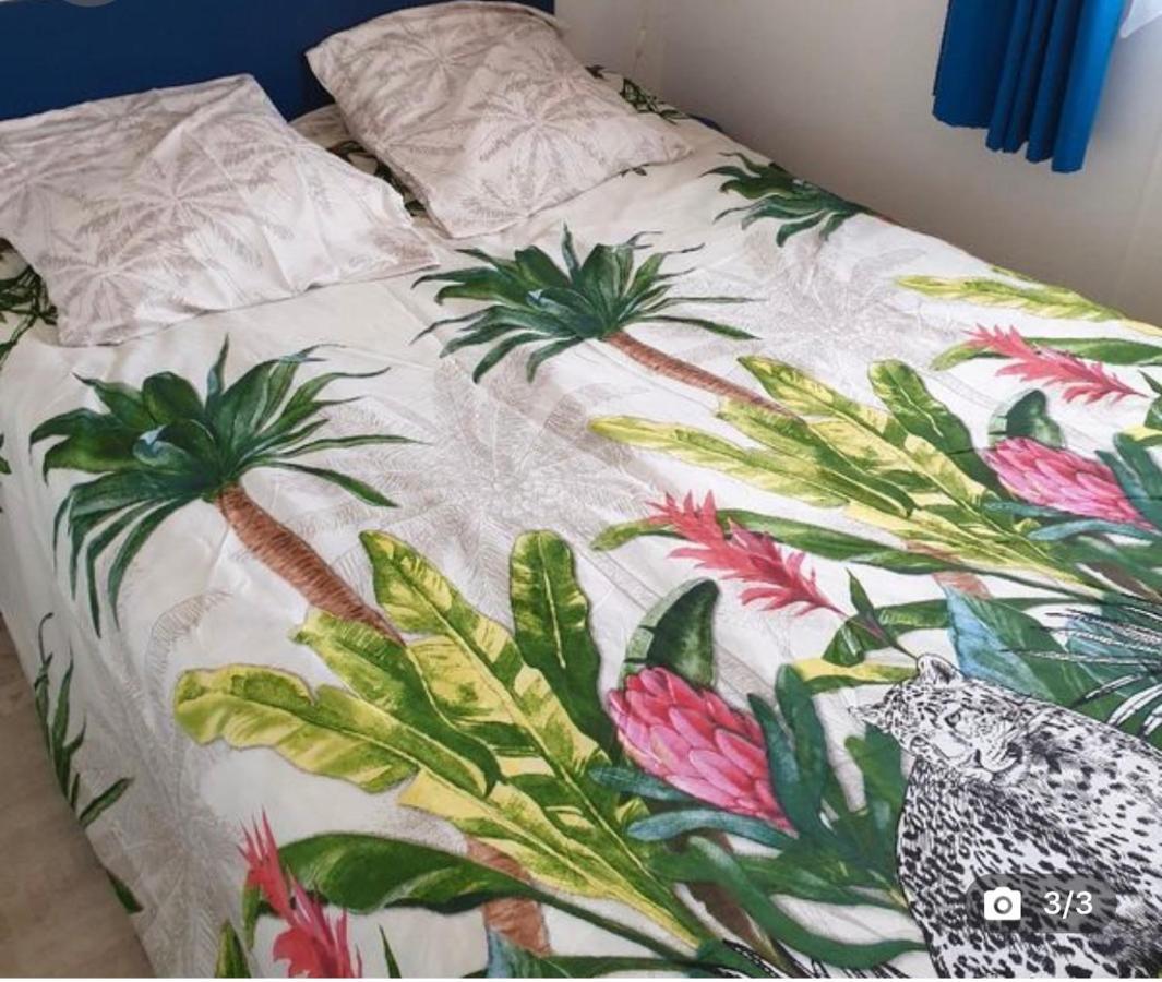 Mobilehome 3 Chambres Curistes Camping Piscine サン・ポール・レ・ダックス エクステリア 写真